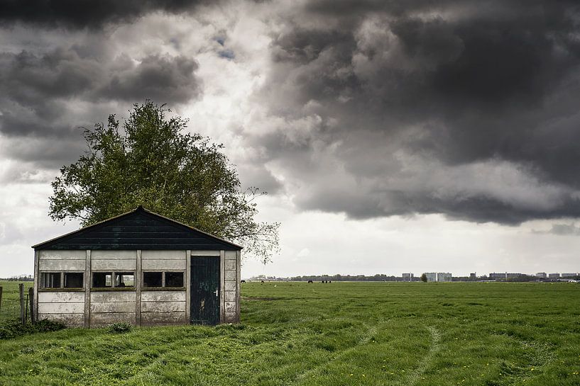 Polder par marjolein Parijs