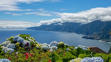 Flowers on the coast of Madeira by Eva Rusman