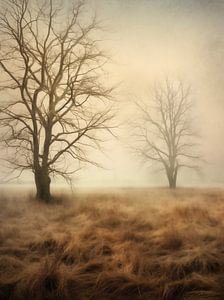 Herbstwald