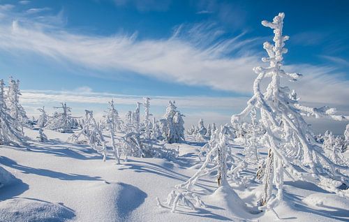 Winter op de Brocken