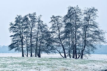 Winter in het Haagsche bos van Jan Radstake