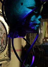 head by Lisa de Blok