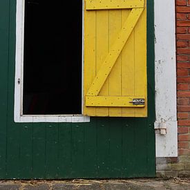 Coloured door by Edith Kusters