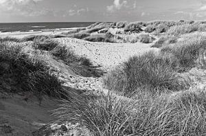 Dünen-Paradies an der Nordsee in Dänemark - schwarzweiß