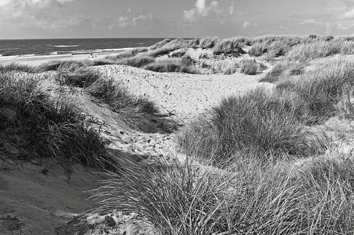 A dune paradise on the North Sea coast in Denmark – in black and white