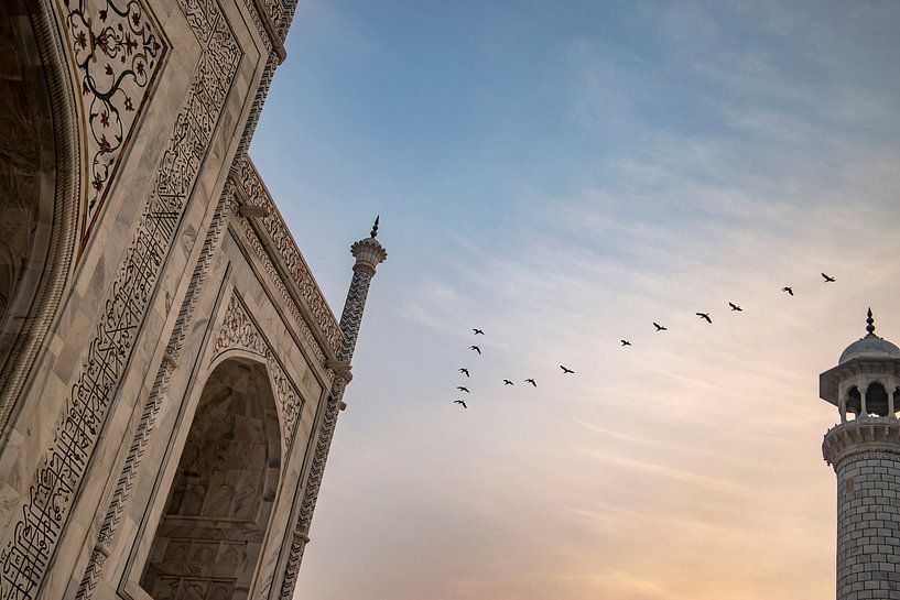 Birds fly over the Taj Mahal. by Floyd Angenent