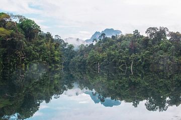 Jungle in Thailand - Khao Sok by Anne Zwagers