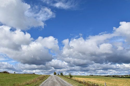 Eine Landstraße im Frühling