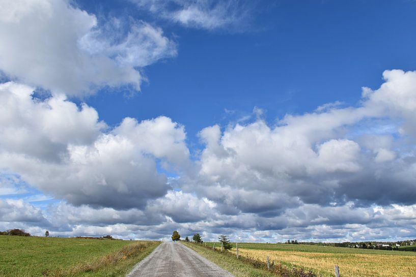 A country road in spring by Claude Laprise