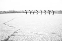 Ice fun on natural ice, The Flaes, Esbeek