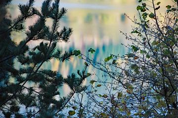 Herfstkleuren in Opper-Svanetië (3)