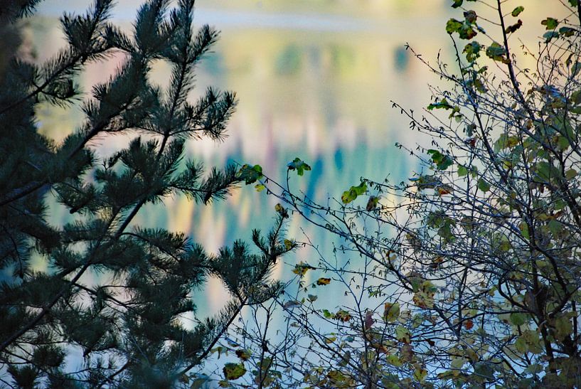 Herfstkleuren in Opper-Svanetië (3) von Anne Hana