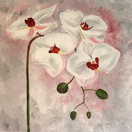 Orchids by pba-art