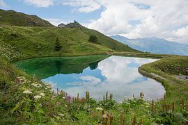 little pond with water reflection at Kleine Scheidegg tourist destination, mannlichen mountain switz by SusaZoom