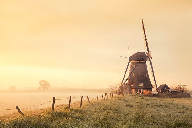 Warm glow by Halma Fotografie