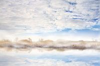 Dreamy world