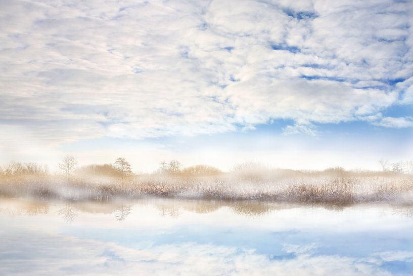 Dreamy world by Michelle Zwakhalen