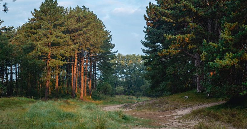 Dunes d&#039;approvisionnement en eau d&#039;Amsterdam par Jolanda Aalbers