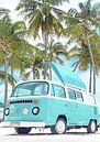 Palms and bus by David Potter thumbnail