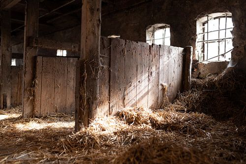 Scheune von Holland's Hope