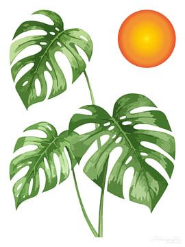 Monstera Deliciosa as a triptych (3 of 3)