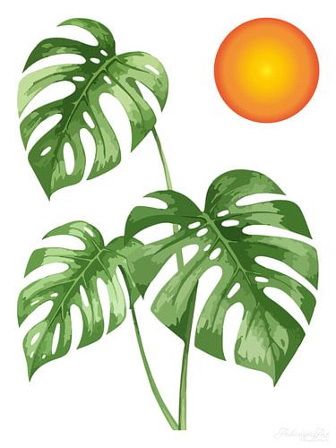 Monstera Deliciosa en triptyque (3 sur 3)