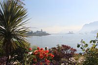 Blumiges Plockton