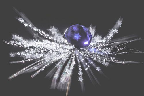 Waterdruppels op pluisje met ster vormige bokeh