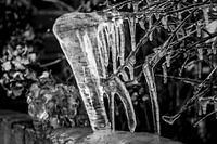 winter 2016 