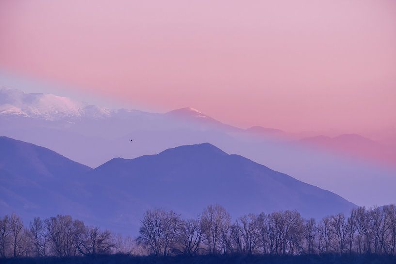 Surrealistisch van Hennie Zeij