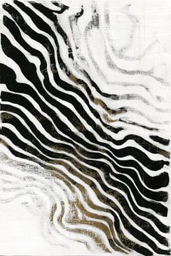 Zebra Schwarz-Weiß Abstrakte Wellen