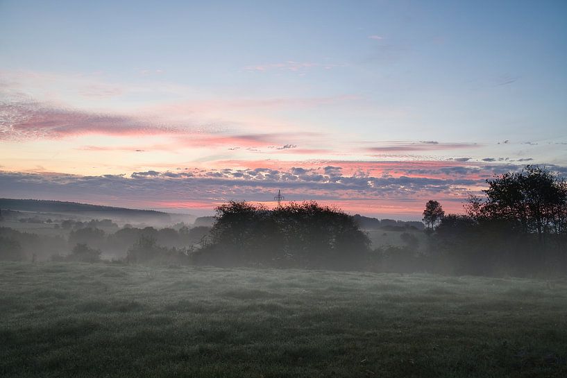 Boom in een weiland in de mist bij zonsopgang van Martin Köbsch