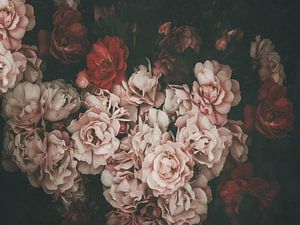 Dark Roses by Marina de Wit