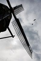 Berkelse poldermolen met valken
