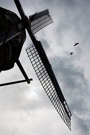Berkelse poldermolen met valken von Peter de Ruig