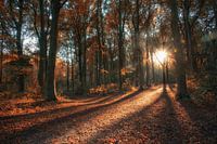 Sonnenpfad