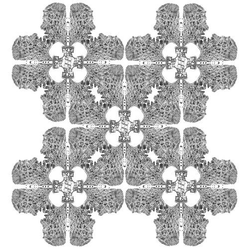 Dans la nature, nous nous regardons tous les uns les autres