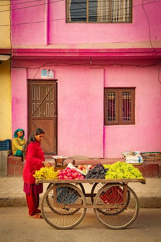 Fruit cart in Kathmandu, Nepal by Ron van der Stappen