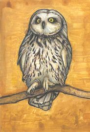 Sumpfohreule von Tanja Koelemij