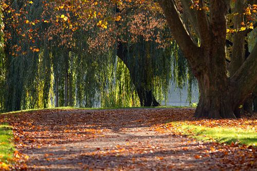 BERLIJN Lietzensee - kleurrijke herfst