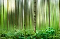 Groen bos