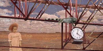 Time is ticking... van Barbara van Druten