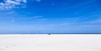 Texel