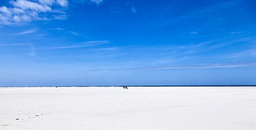 Texel sur Harry Schuitemaker