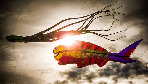 Drachenfest Fehmarn