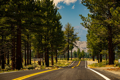Yellow road USA