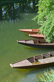 Stocherkähne auf dem Fluss Neckar