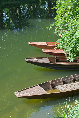 Pijlboten op de rivier de Neckar