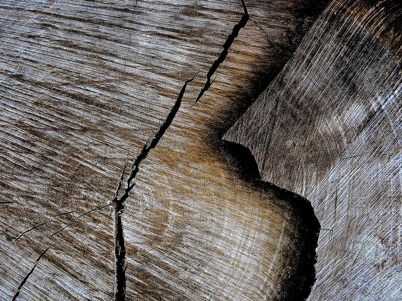 TreeScape 17 van MoArt (Maurice Heuts)