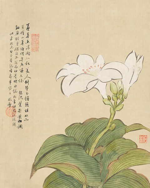 Liang Yuwei - Flowers Pl.07 by Peter Balan